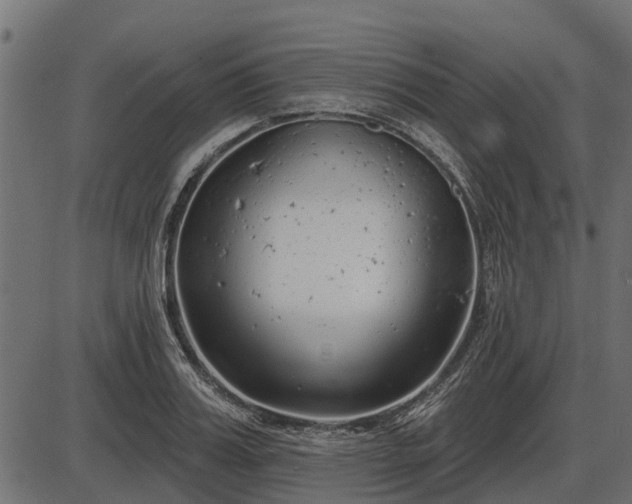 X0000086300987200704091017