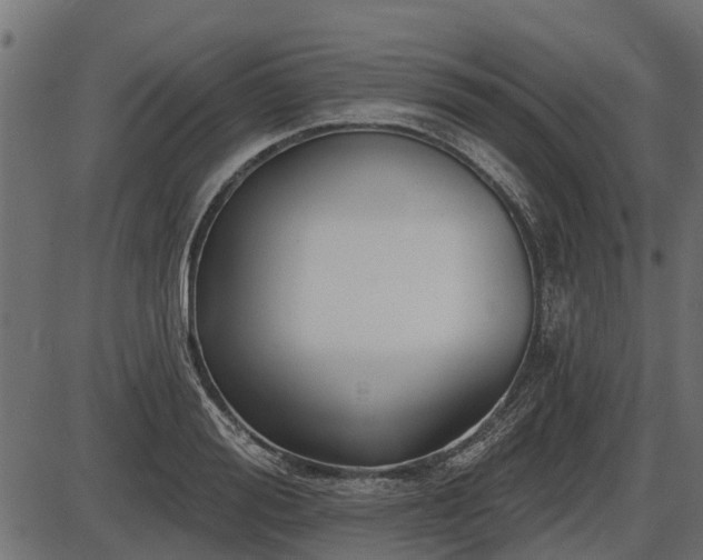 X0000086300988200704091017