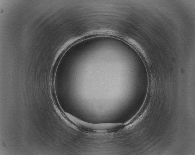 X0000086300989200704091017