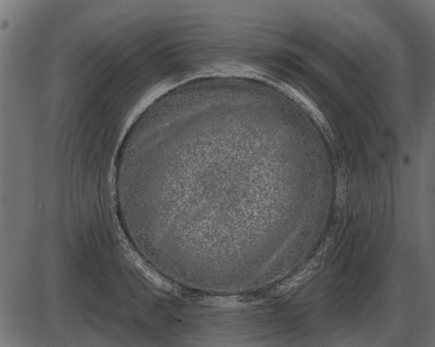 X0000086300990200704091017