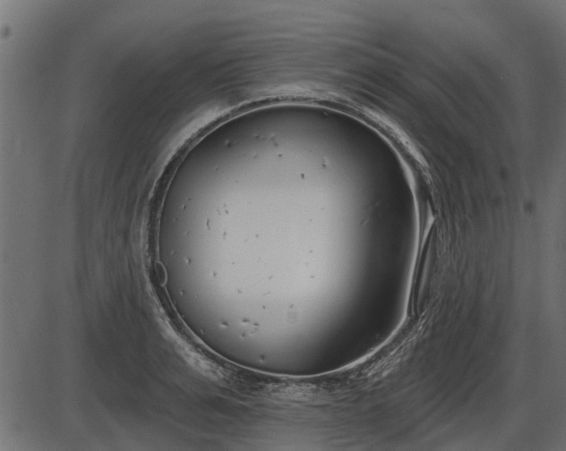 X0000086300991200704091017