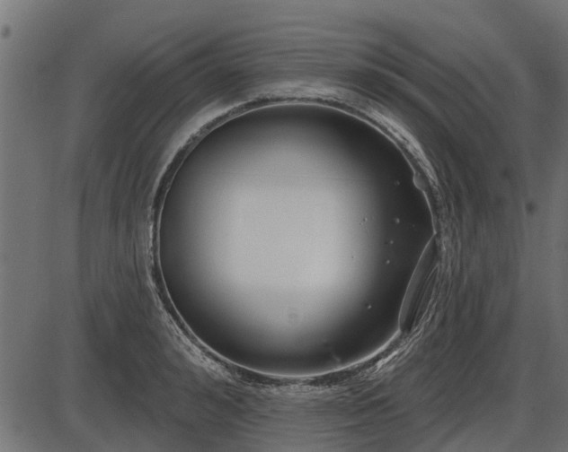 X0000086300992200704091016