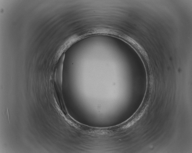 X0000086300993200704091016