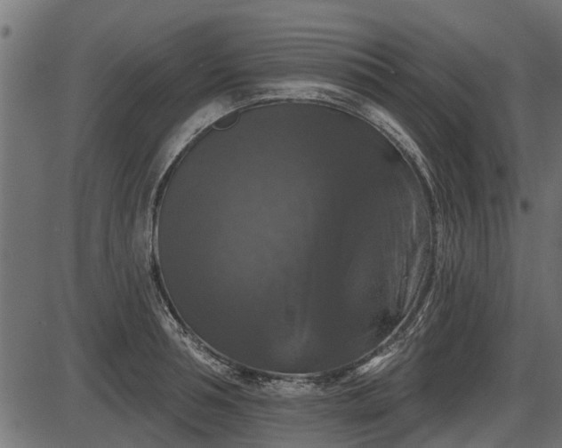 X0000086300994200704091016