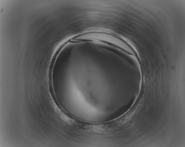 X0000086300995200704091016