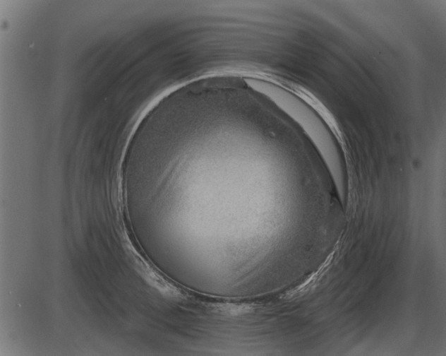 X0000086300996200704091016