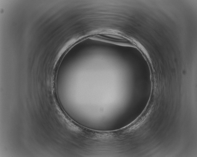 X0000086300997200704091016