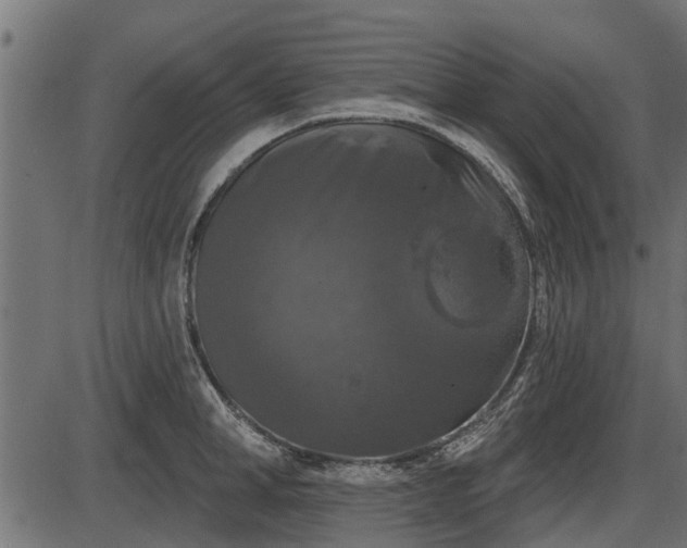 X0000086300998200704091016