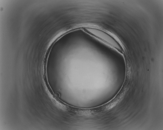 X0000086300999200704091016