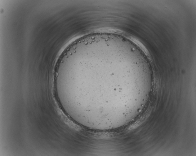 X0000086301000200704091016