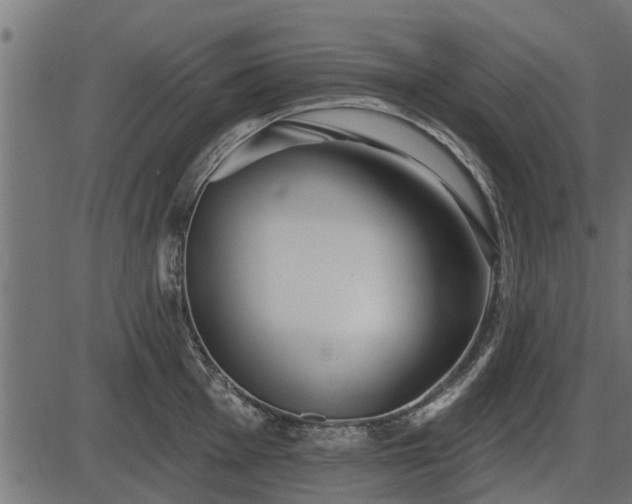 X0000086301001200704091016