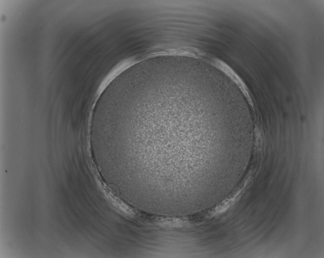 X0000086301002200704091016