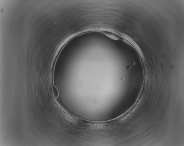 X0000086301004200704091016