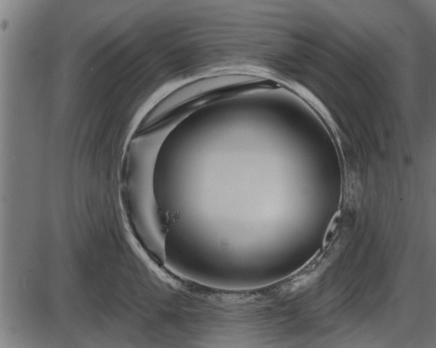 X0000086301005200704091016