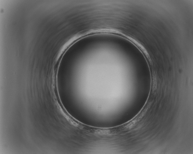 X0000086301006200704091016