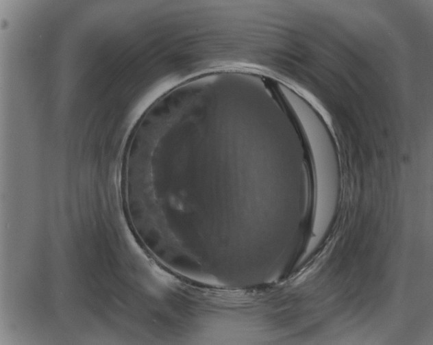 X0000086301007200704091016