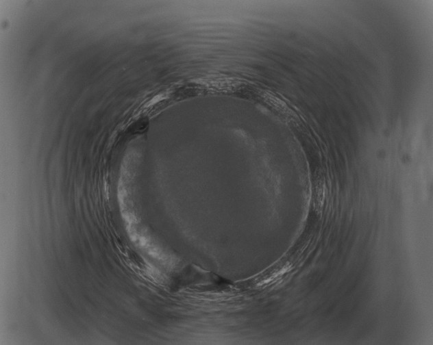 X0000086301010200704091015