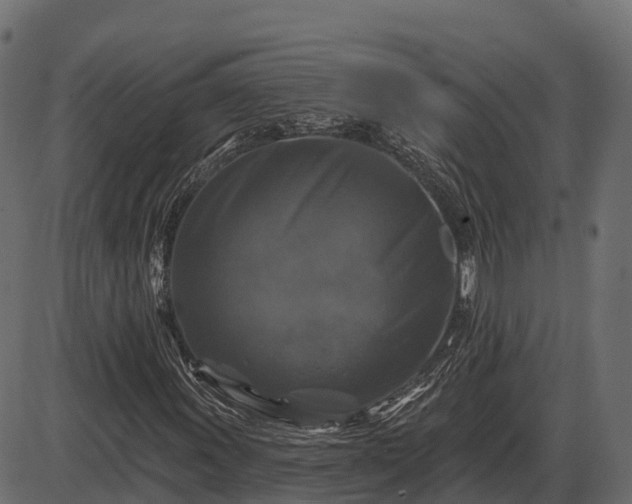 X0000086301011200704091015