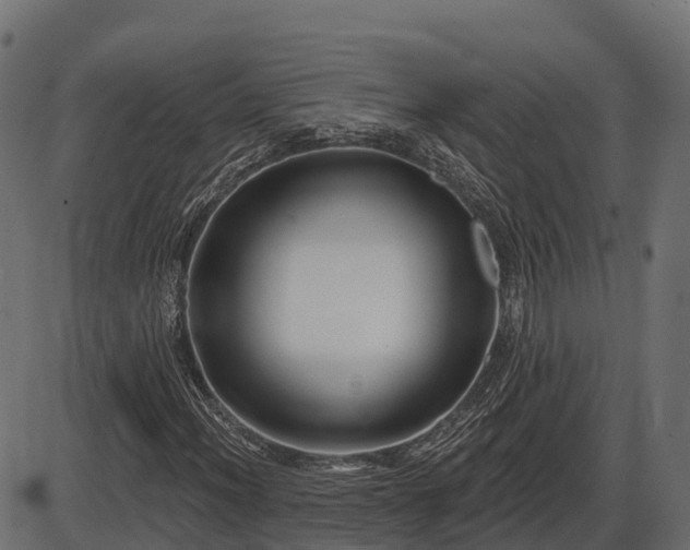 X0000086301012200704091015