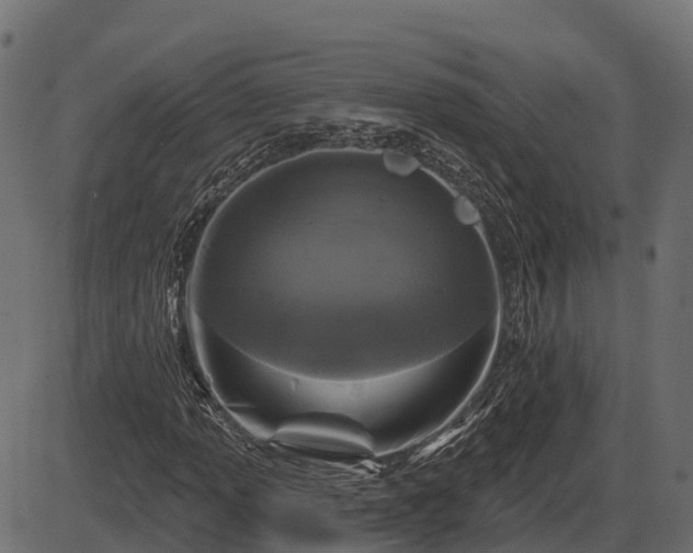 X0000086301013200704091015