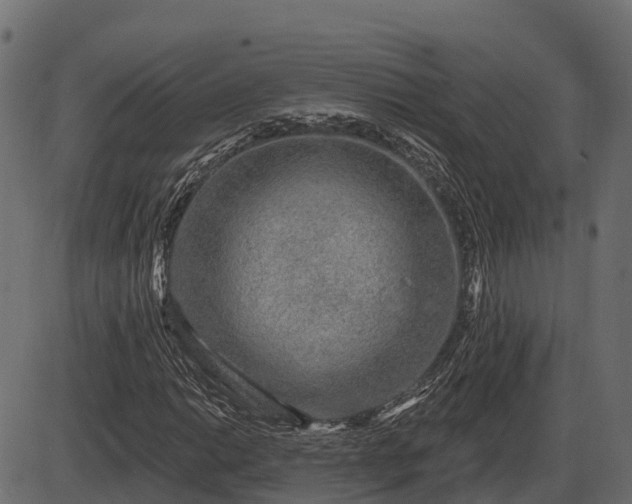 X0000086301014200704091016