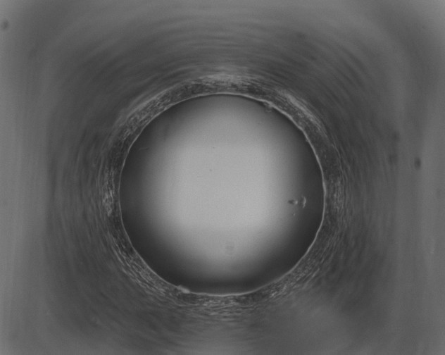 X0000086301015200704091016