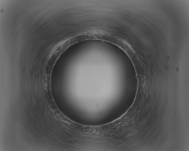 X0000086301016200704091016