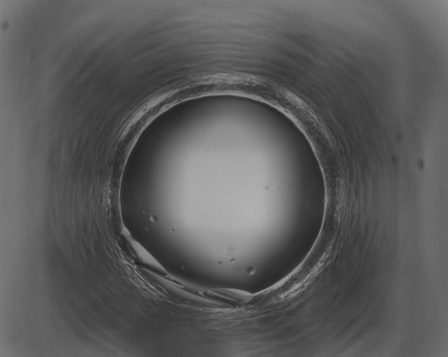 X0000086301017200704091016