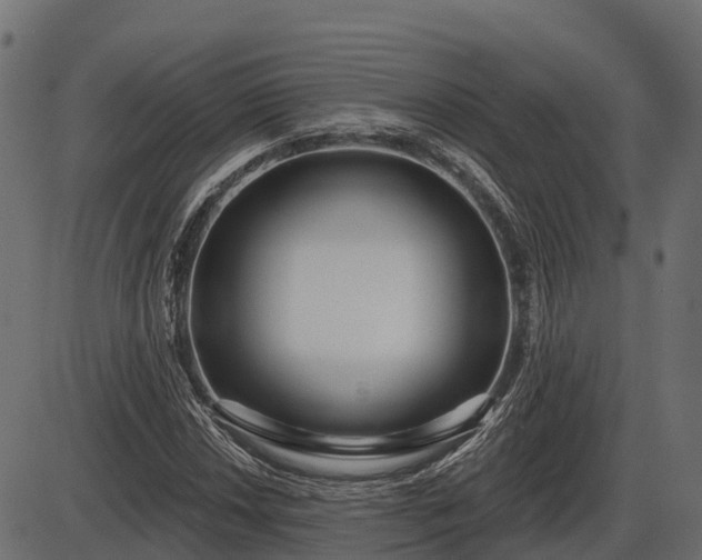 X0000086301018200704091016