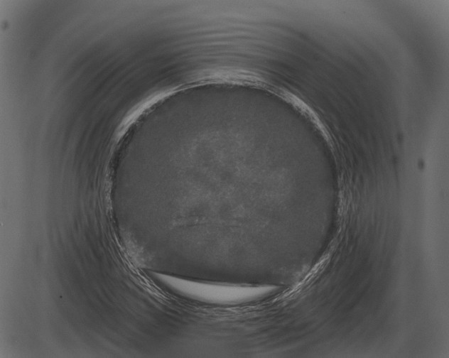 X0000086301019200704091016