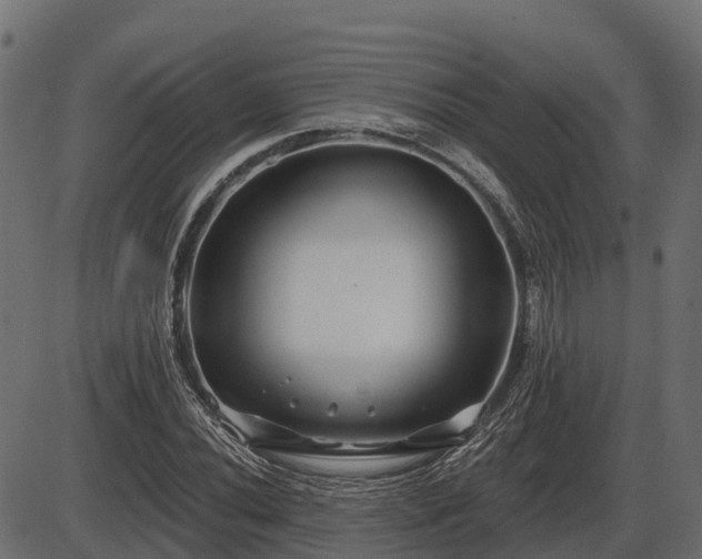 X0000086301020200704091016