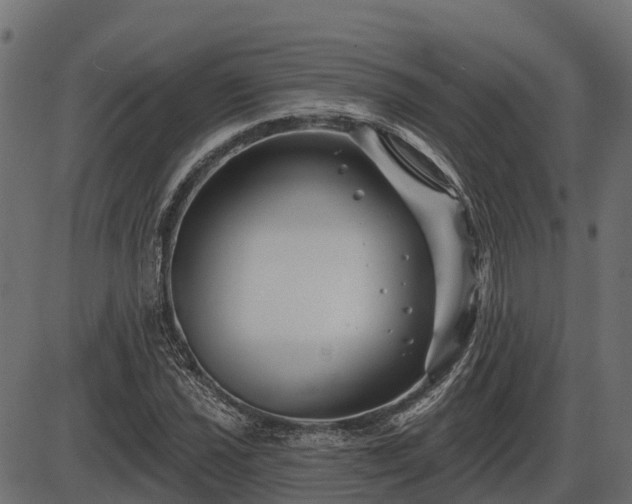 X0000086301021200704091016