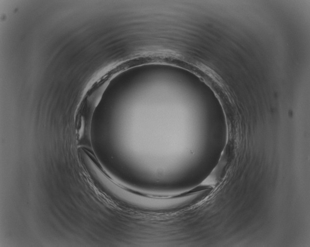 X0000086301022200704091016