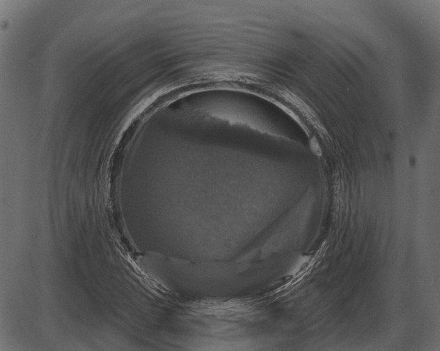 X0000086301023200704091016