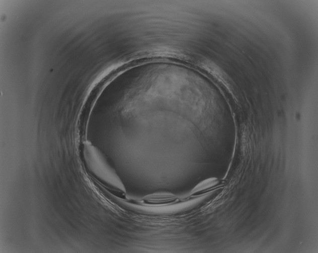 X0000086301024200704091016