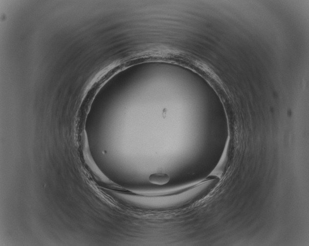 X0000086301026200704091016