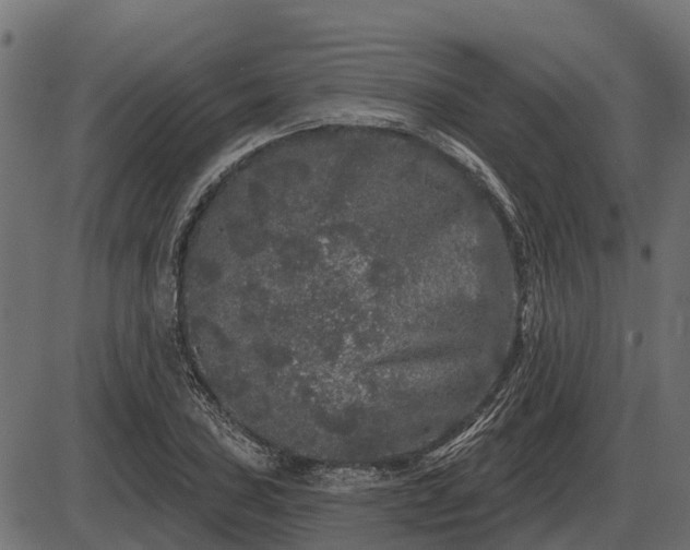 X0000086301027200704091016