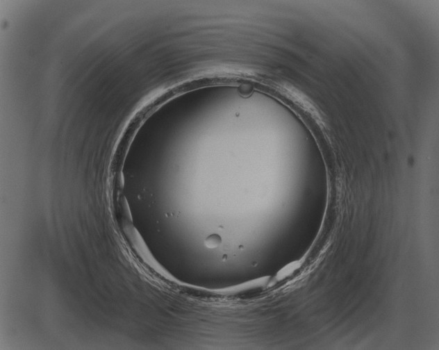 X0000086301029200704091016