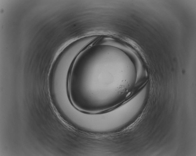 X0000086301030200704091016