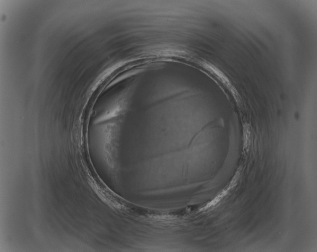 X0000086301031200704091016