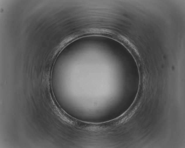 X0000086301033200704091016