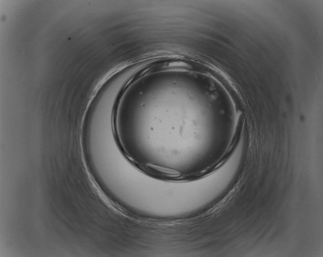 X0000086301034200704091016