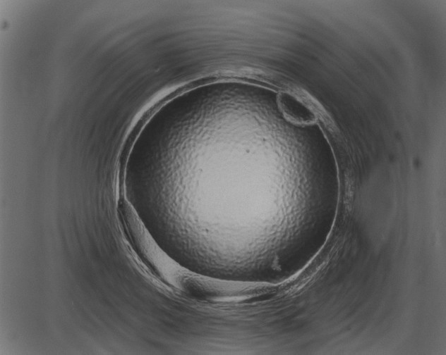 X0000086301036200704091016