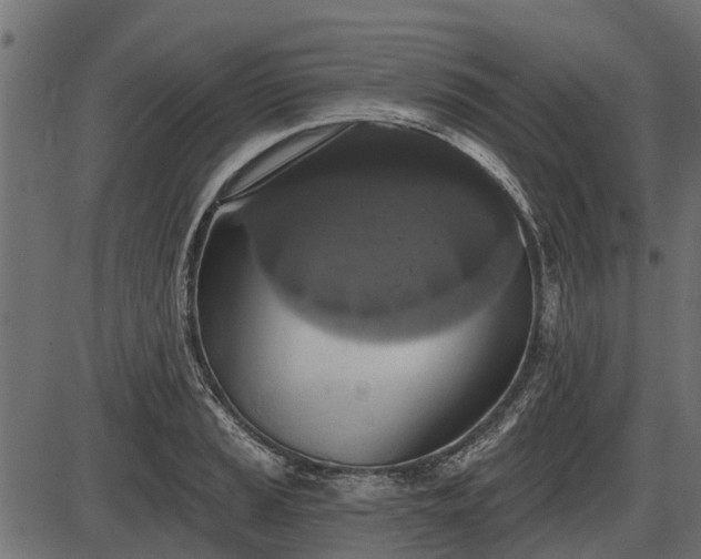 X0000086301037200704091016