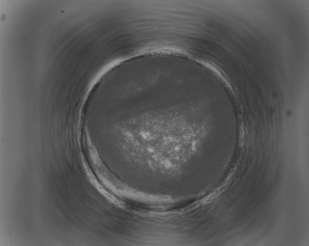 X0000086301038200704091016