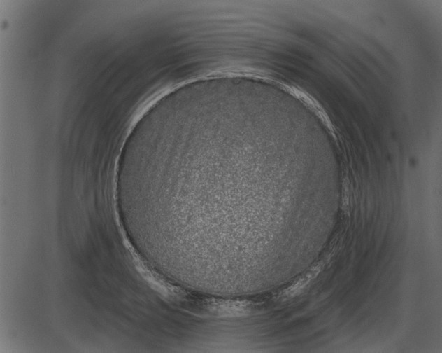 X0000086301039200704091016