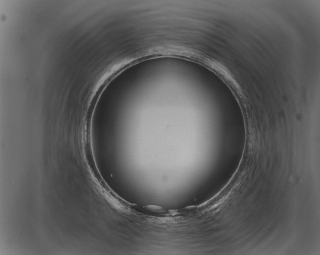 X0000086301040200704091016