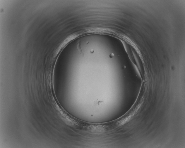 X0000086301041200704091016