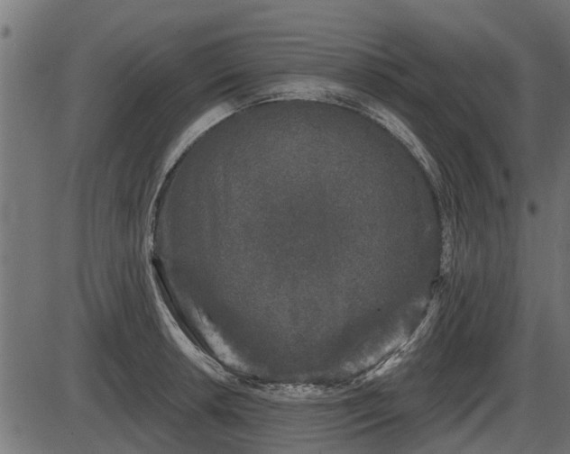 X0000086301042200704091016