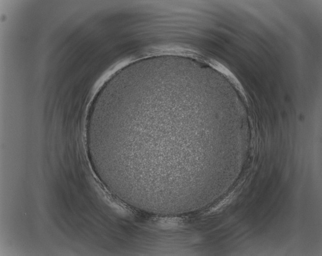 X0000086301043200704091016